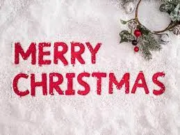 Christmas Day at Camino Real